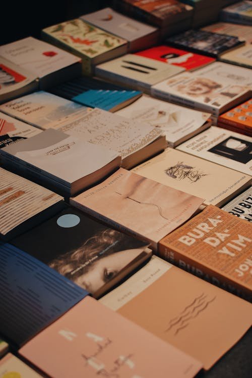 Expert book publishing support